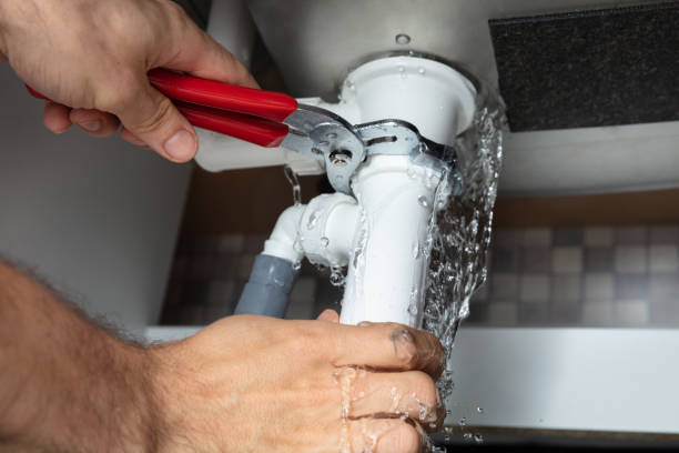 Best Water damage repair service  in Lely, FL