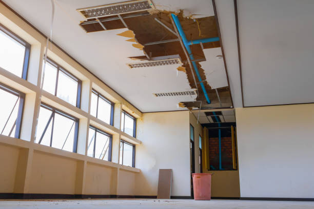  Lely, FL Water damage restoration Pros