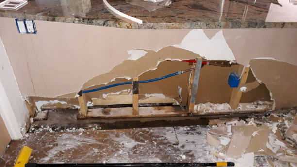 Best Water damage contractors near me  in Lely, FL