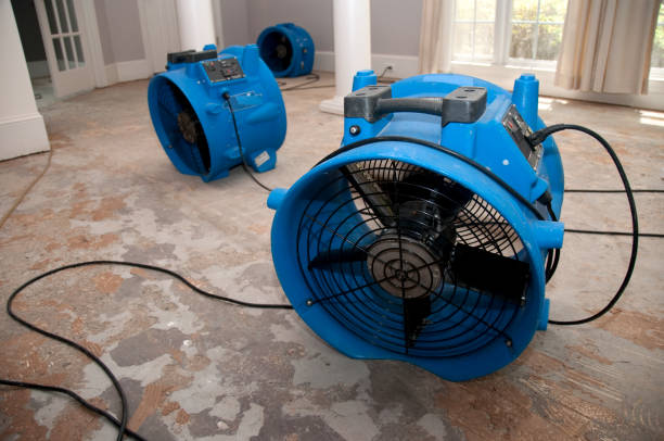 Best Fire Damage Restoration  in Lely, FL