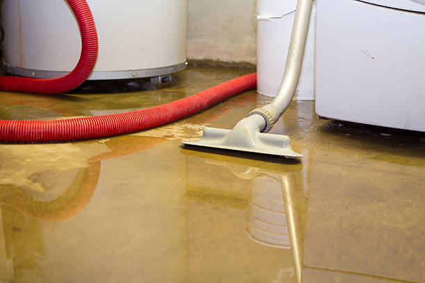 Best Carpet water damage restoration  in Lely, FL