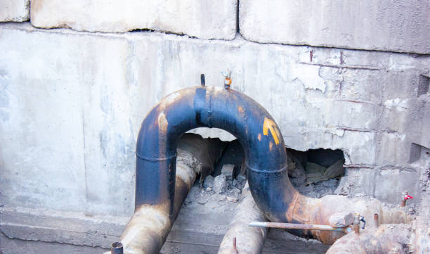 Best Ceiling water damage repair  in Lely, FL