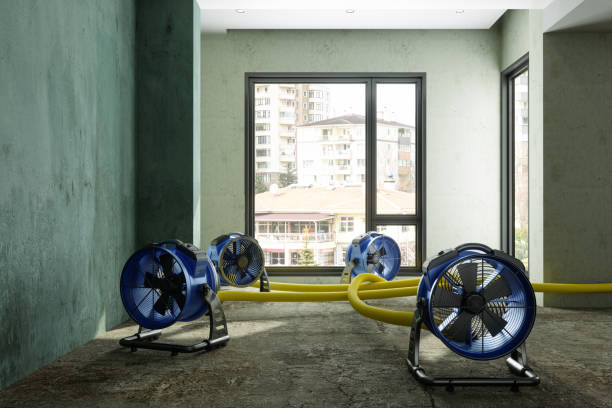 Best Emergency water damage restoration  in Lely, FL