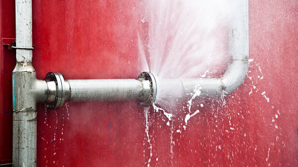 Best Flood damage cleanup  in Lely, FL
